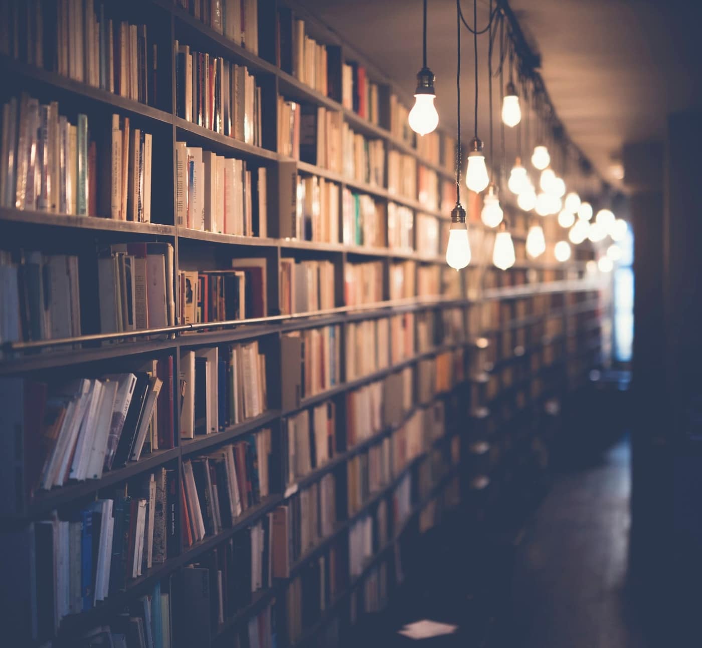 Library reading room - the brief's space